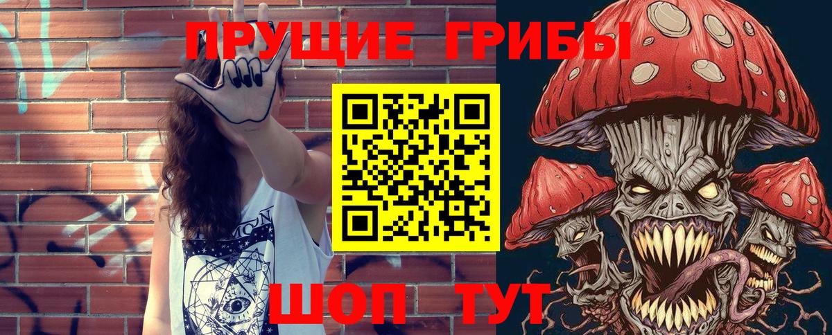 Псилоцибиновые грибы Cubensis  Вход с VPN  Брянск 